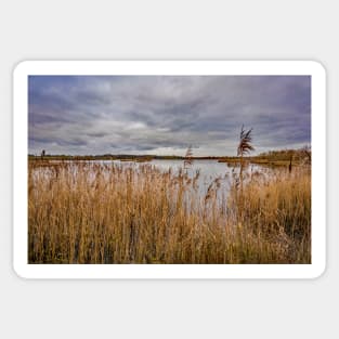 Rockland Broad, Norfolk Broads National Park Sticker